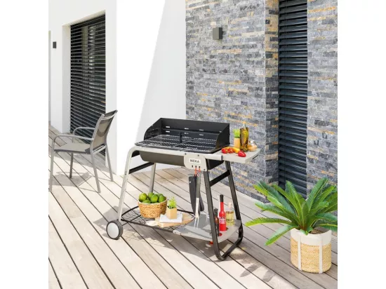 Barbecue Charbon 