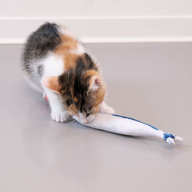 Jouet TIAKI Sardine garnie de menthe à chat