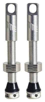 Paire de Valves Tubeless Title Presta Chrome