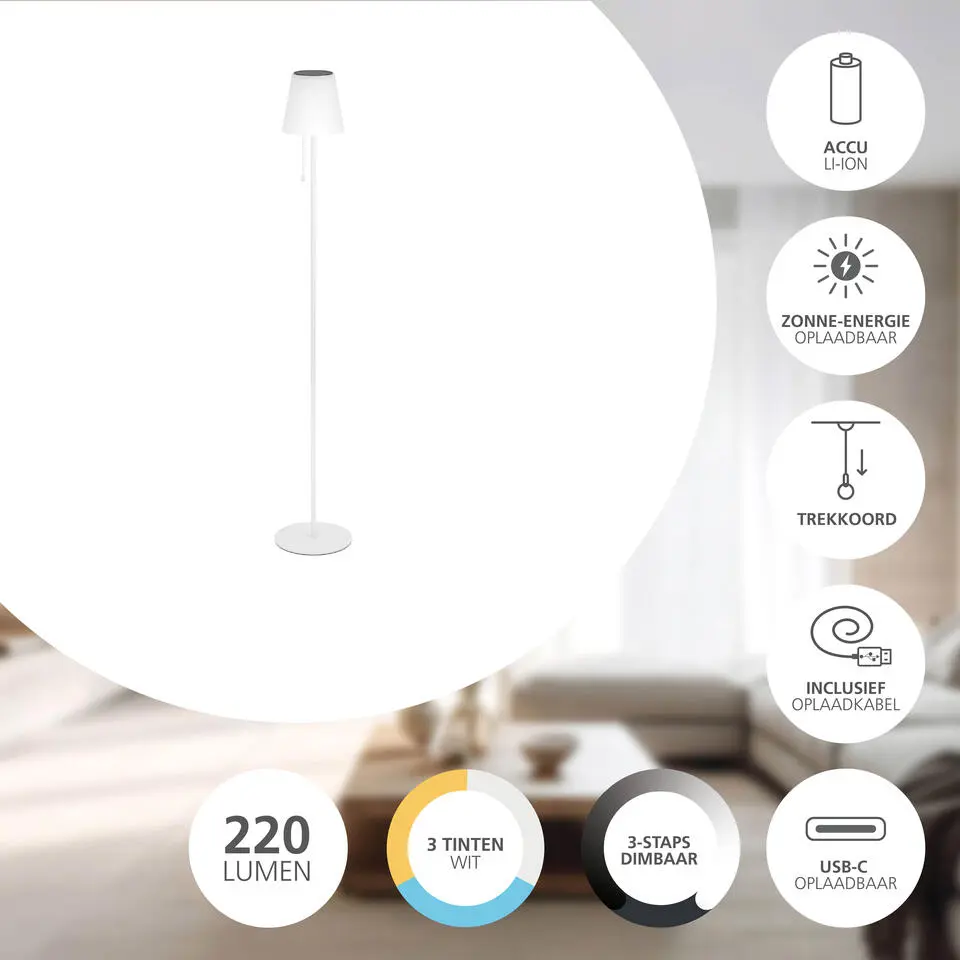 EGLO Scordiano-L Vloerlamp - Solar - 120 cm - Wit - Oplaadbaar