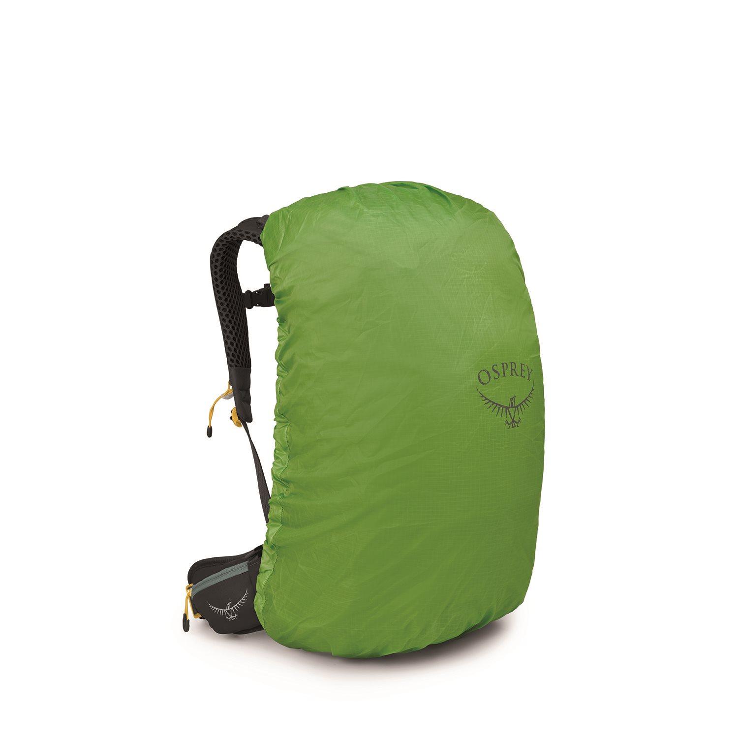 Osprey Sirrus 34 Backpack succulent green