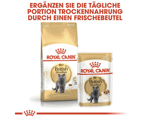 Droog kattenvoer, ROYAL CANIN British Shorthair 34, 10 kg