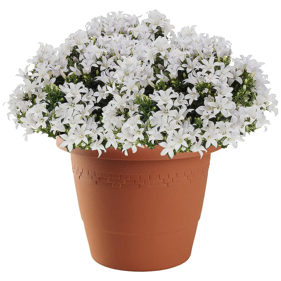 Hega Hogar Bloempot/plantenpot - D30 cm x H24 cm - terra cotta