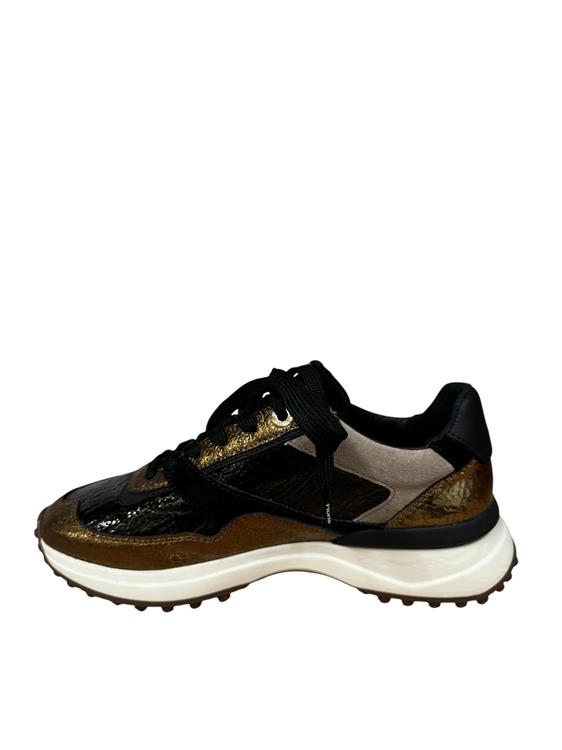 Floris van Bommel SFW-10128 bronz