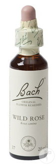 Fleurs De Bach Remedie 37 Wild Rose/Eglantine 20ml