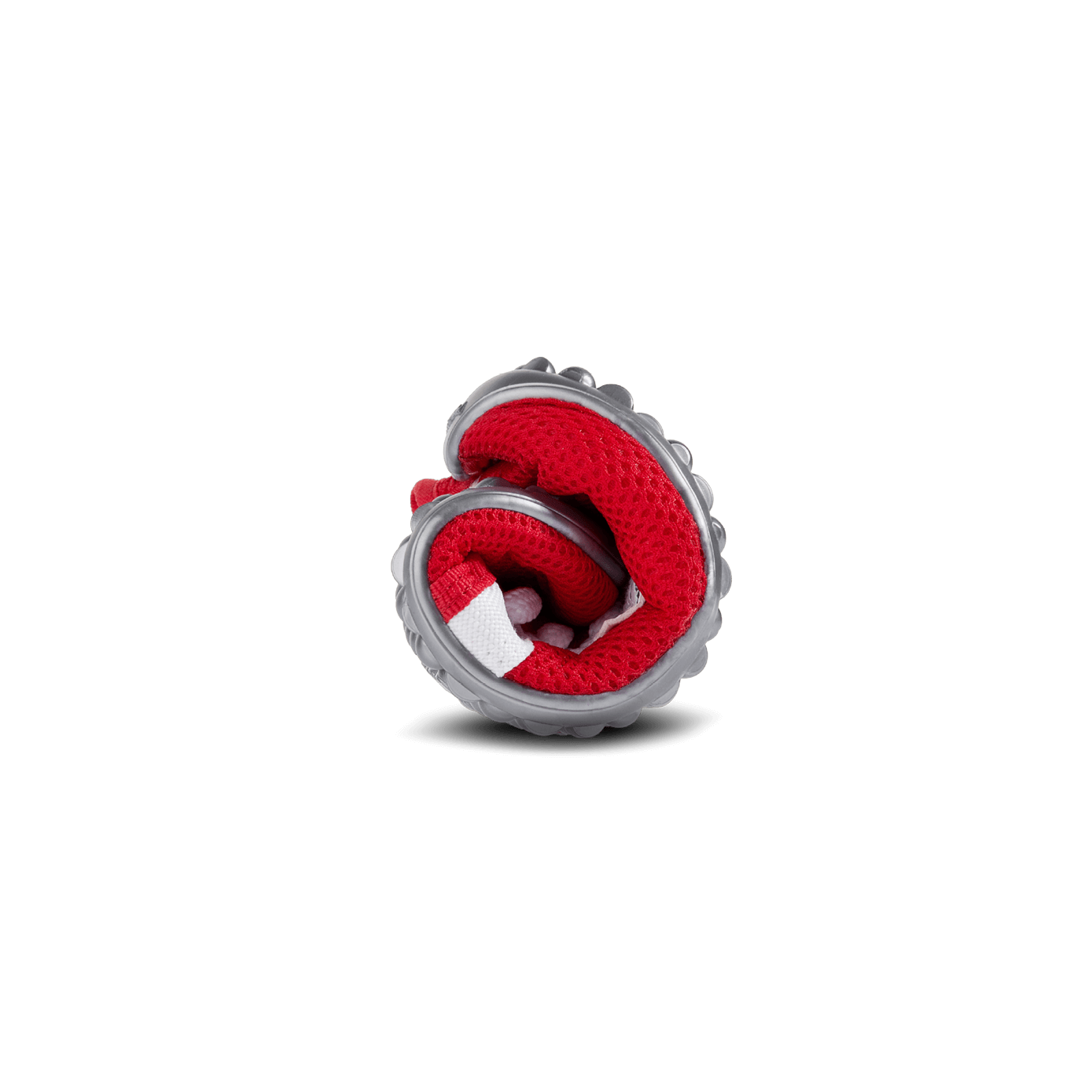 leguanito aktiv plus rot