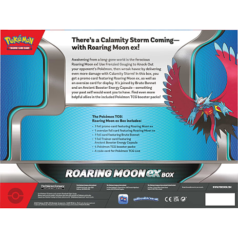 Pokémon TCG: Iron Valiant Ex Box
