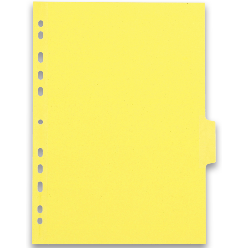 Intercalaires neutres A4 6 positions carte forte 225g assorti