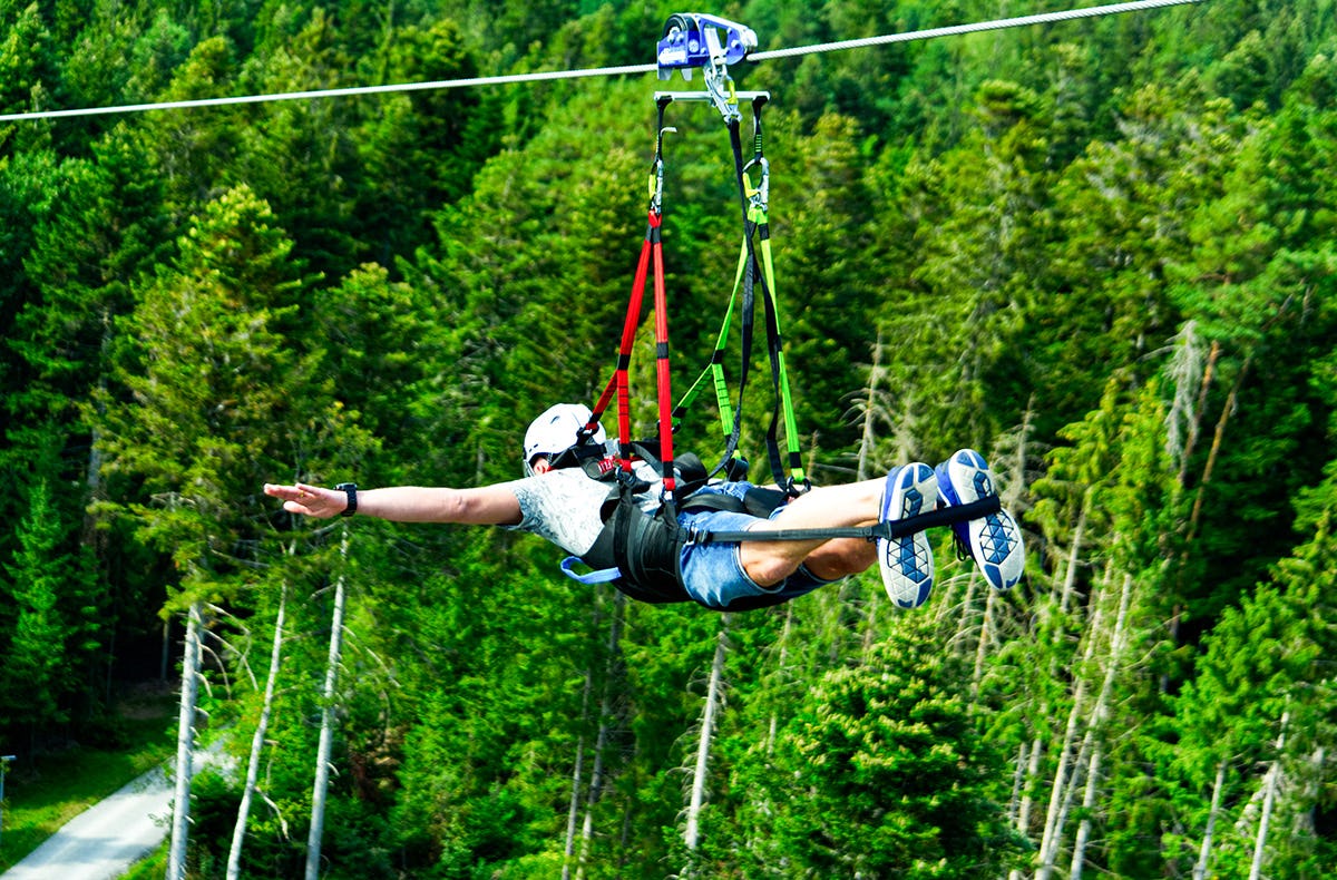 Flying Fox Schwarzwald Schömberg