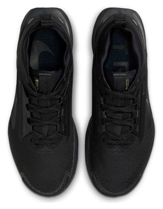 Chaussures Trail Nike Pegasus Trail 5 GTX Noir Femme