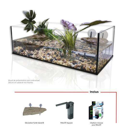 Terrarium en verre 