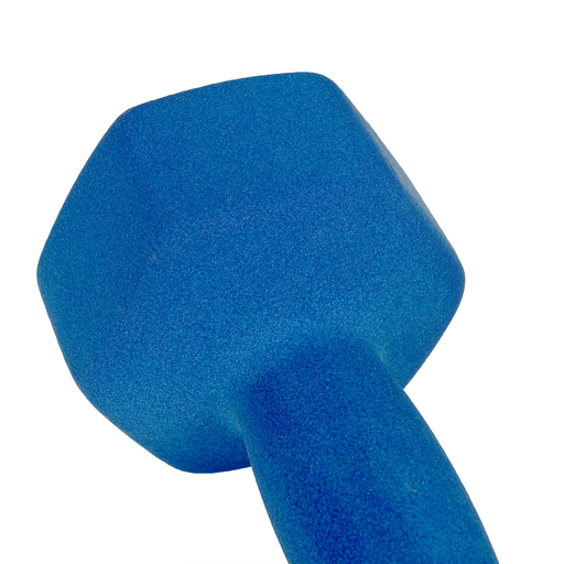 Halteres revestidos de neoprene (conjunto de 2) 9 kg Gladiatorfit