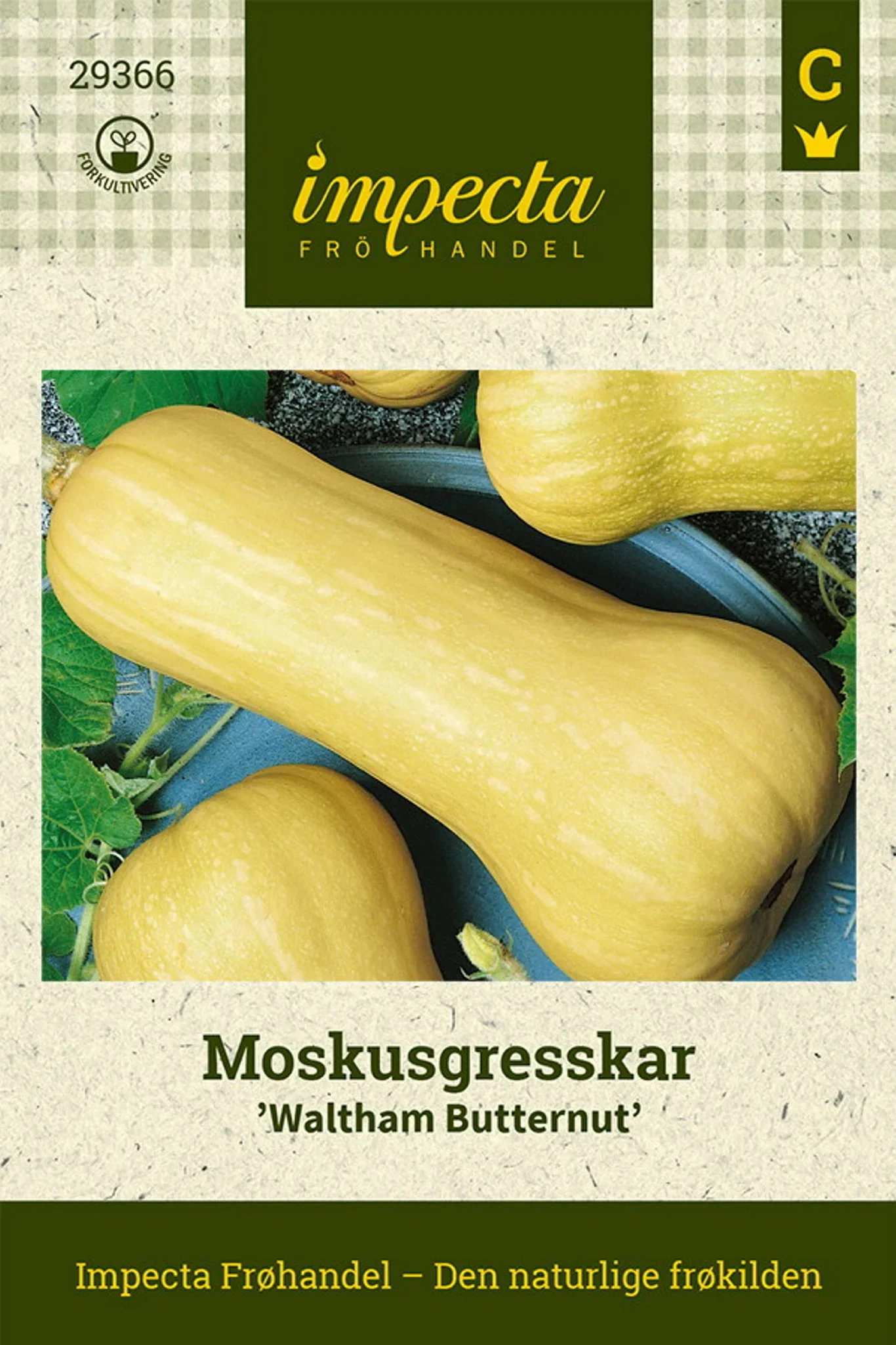 Cucurbita moschata 'Waltham Butternut' Moskusgresskar 'Waltham Butternut'