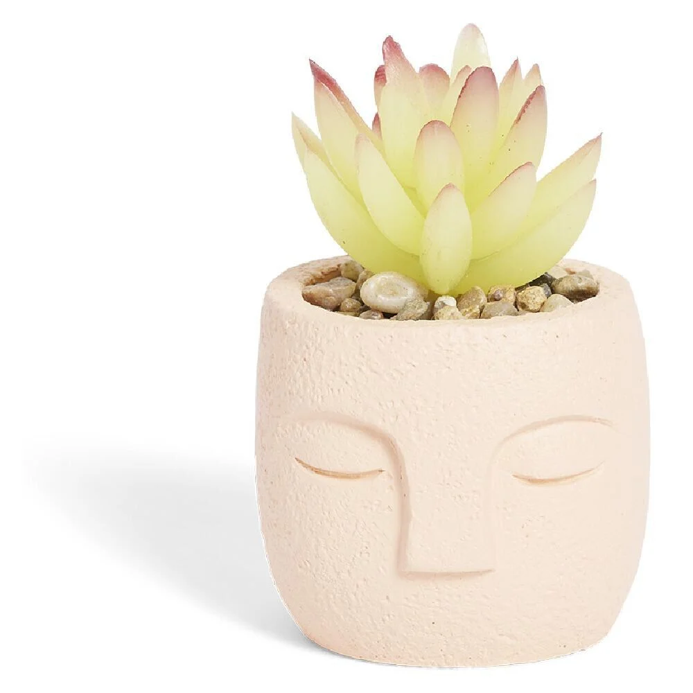 Plante artificielle pot ciment forme visage Ø6,5xH9cm