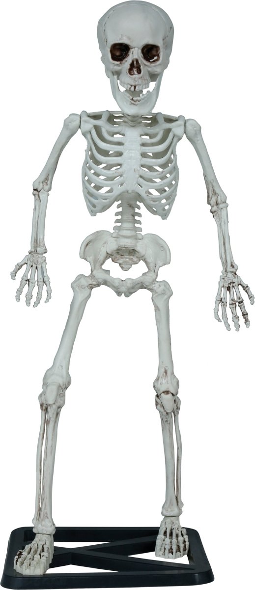 Halloween Skelet 55cm