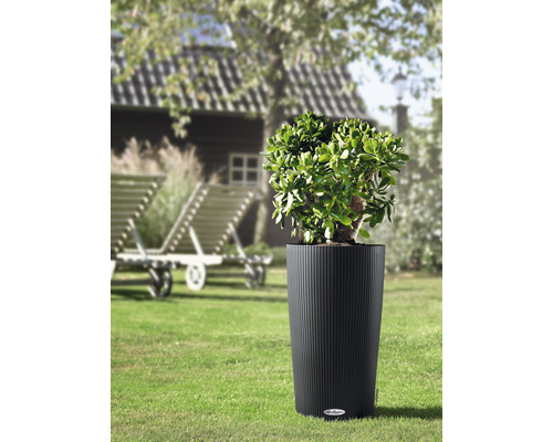 Lechuza Cilindro Color plantenbak, 56 cm hoog, van grijs kunststof, inclusief zelfbewateringssysteem, plantinzet, substraat en waterstandindicator.
