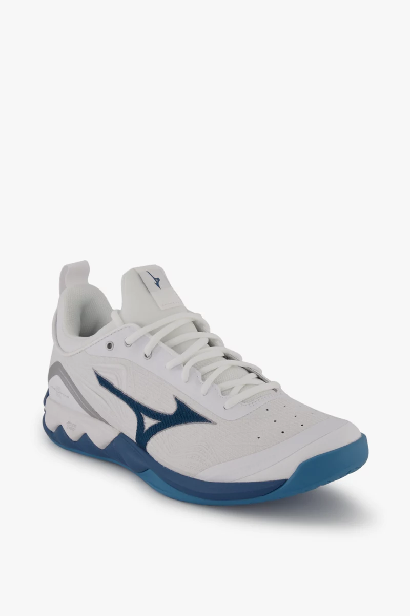 Mizuno Wave Luminous 2 Herren Hallenschuh