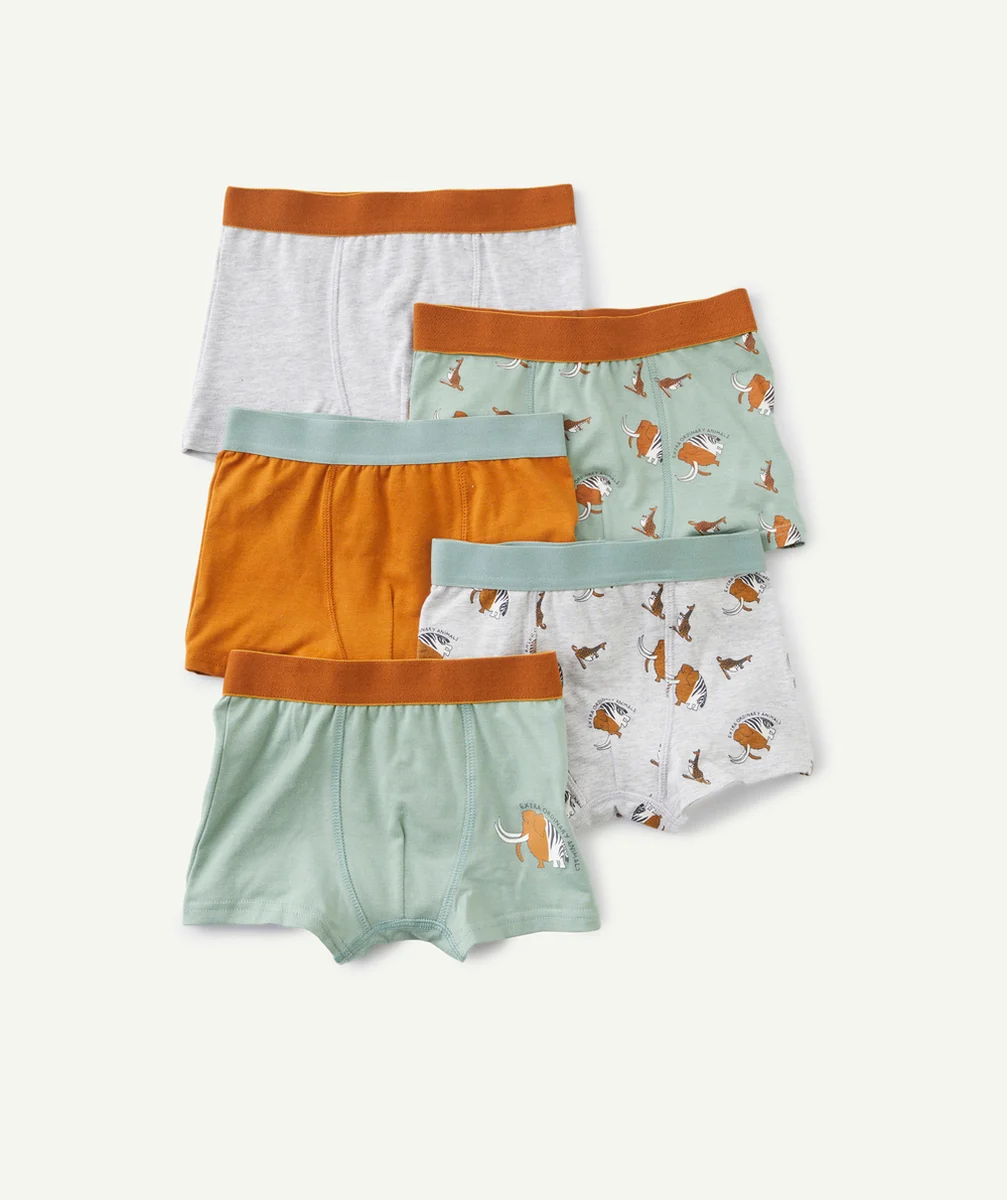 LOT DE 5 BOXERS GARÇON EN COTON BIO GRIS ET VERT AVEC ANIMAUX