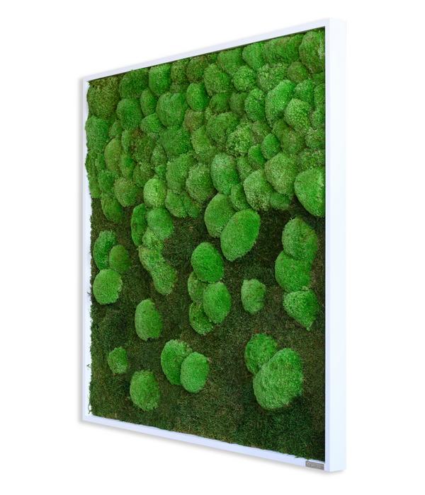 styleGREEN Bild aus Wald- und Kugelmoos im