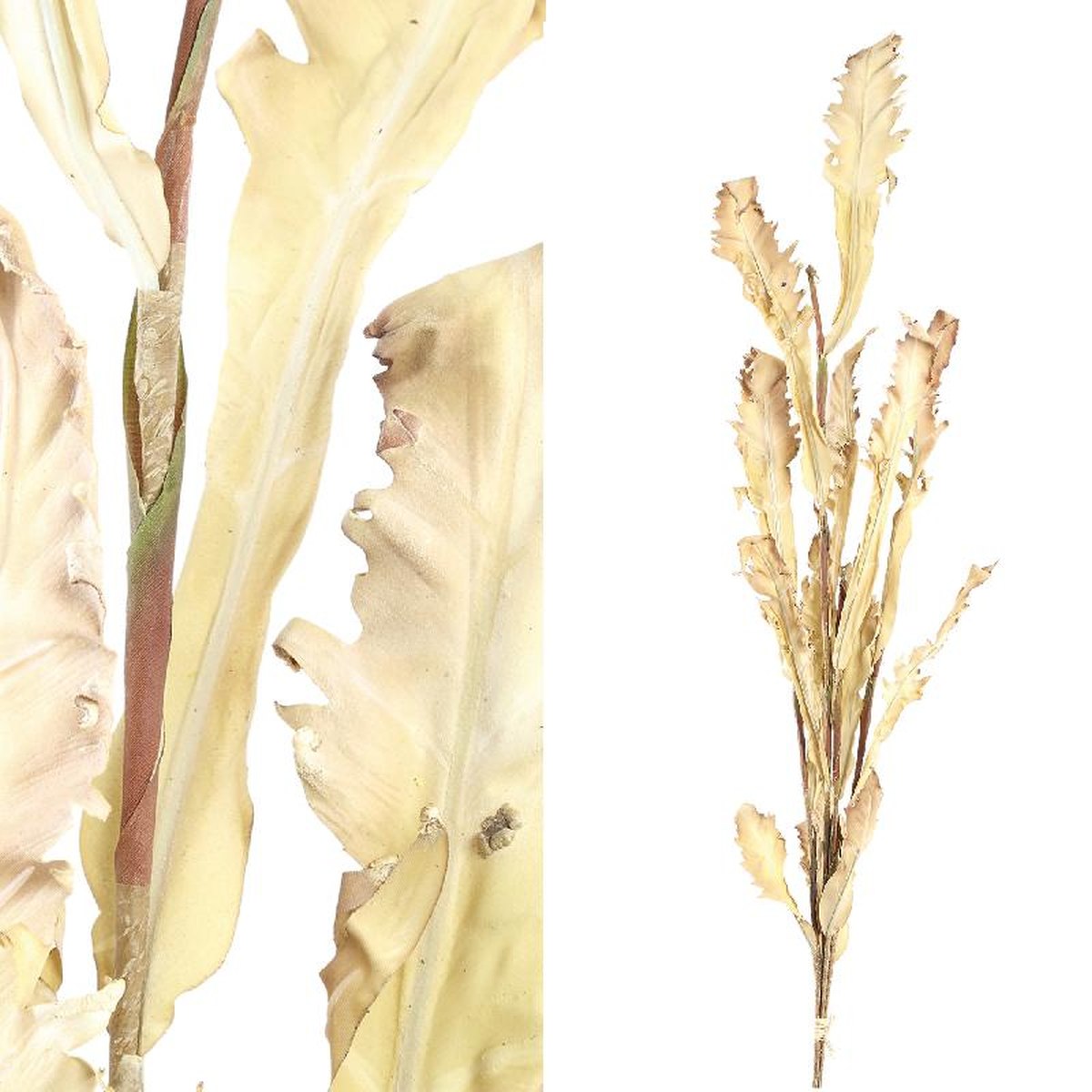 Ptmd fleur sèche droogbloemen - 92x32x118 cm - naturel - marron