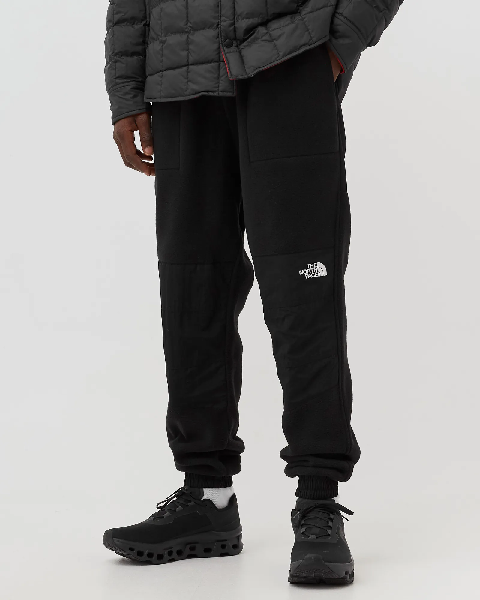 The North Face DENALI PANT