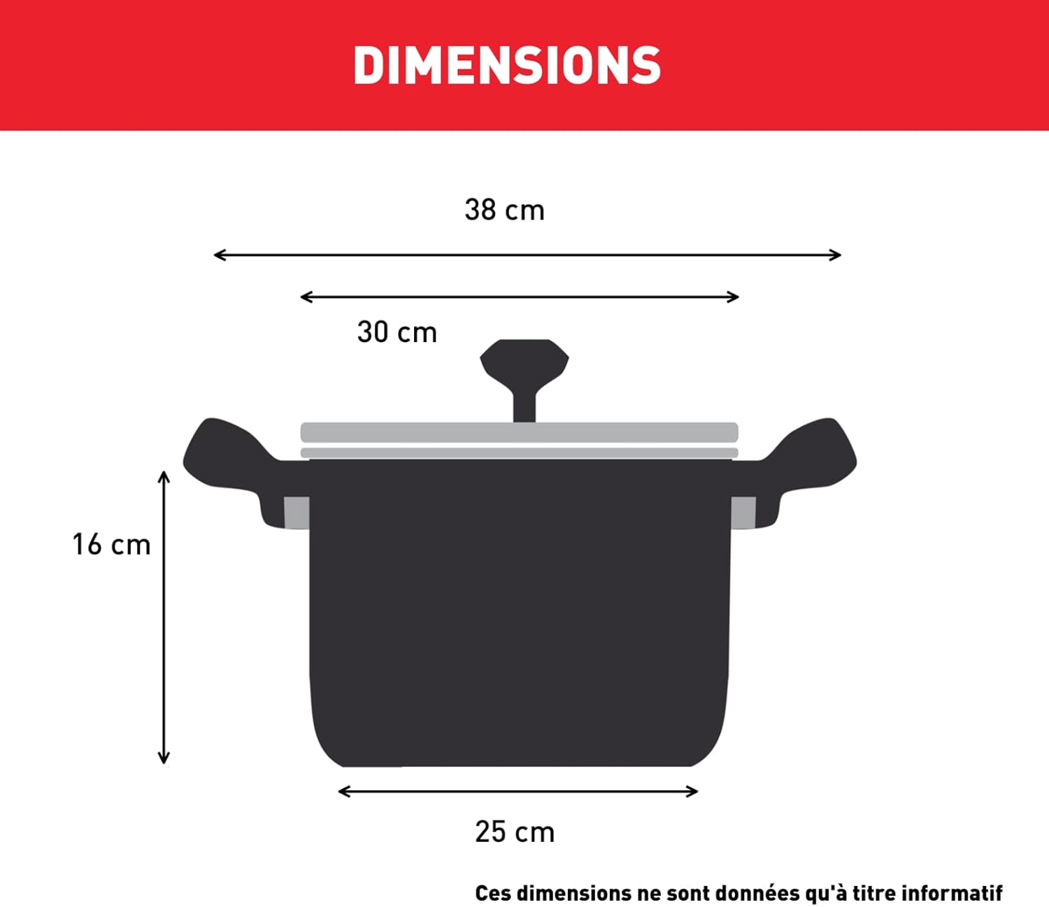 Tefal Intuition XL Kochtopf 36 cm / 17,5 l, Induktion, Edelstahl 18/10, 5 Jahre Garantie, robuste genietete Griffe, Glasdeckel B8647504