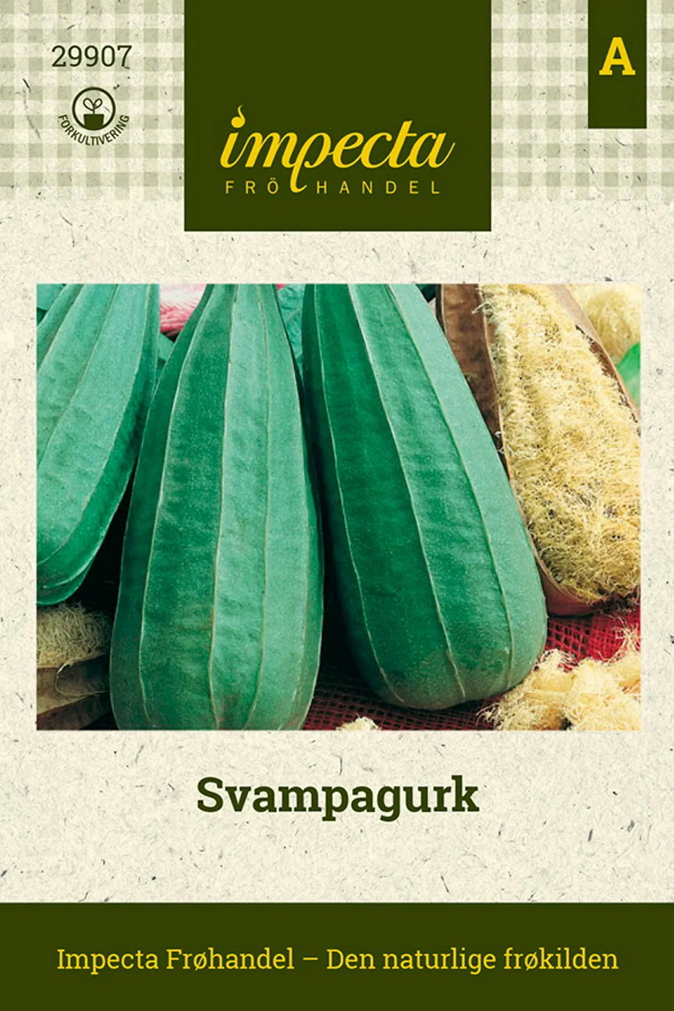 Luffa aegyptiaca Svampagurk