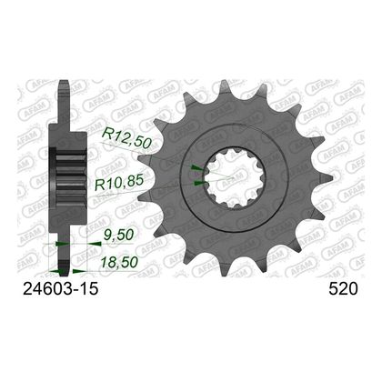 Kit chaine AFAM 520 Type Acier Origine