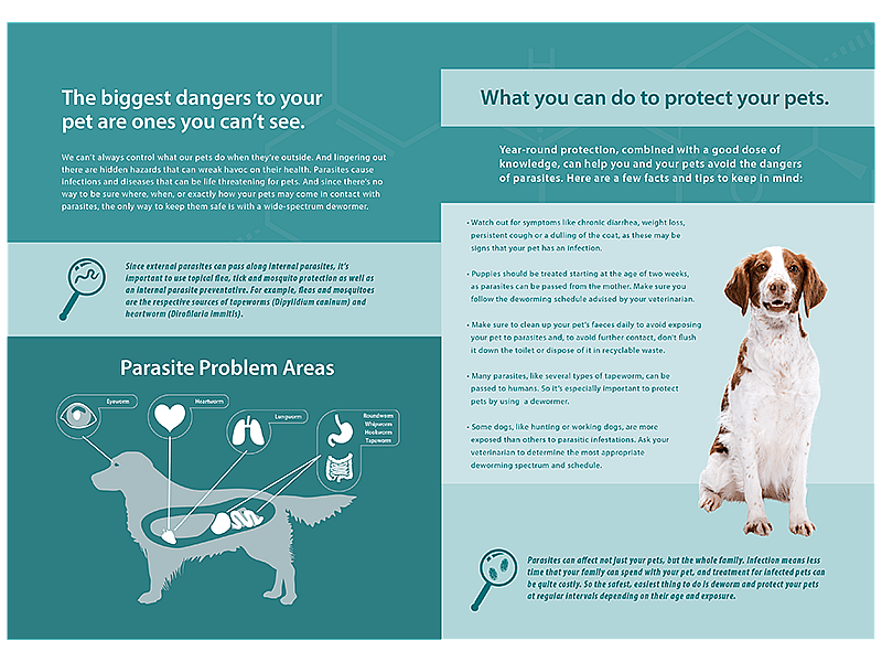 Milbactor Ontwormingstablet hond