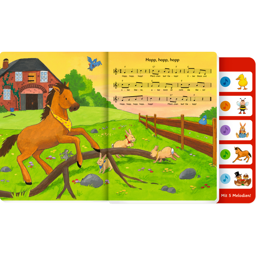 Coppenrath Hör mal, wer da singt! - Meine liebsten Kinderlieder (Soundbuch)
