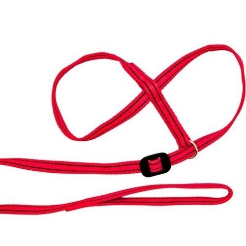 Cabresto multifuncional, vermelho