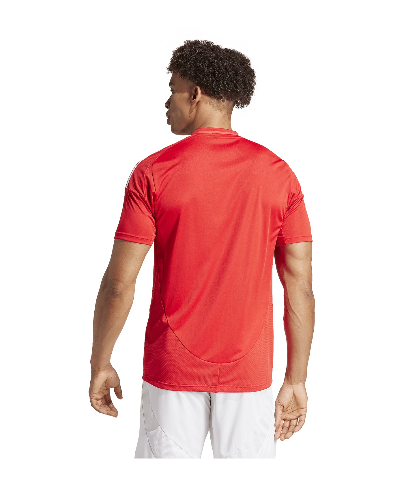 adidas Benfica Lissabon Trikot Home 2024/2025 Rot