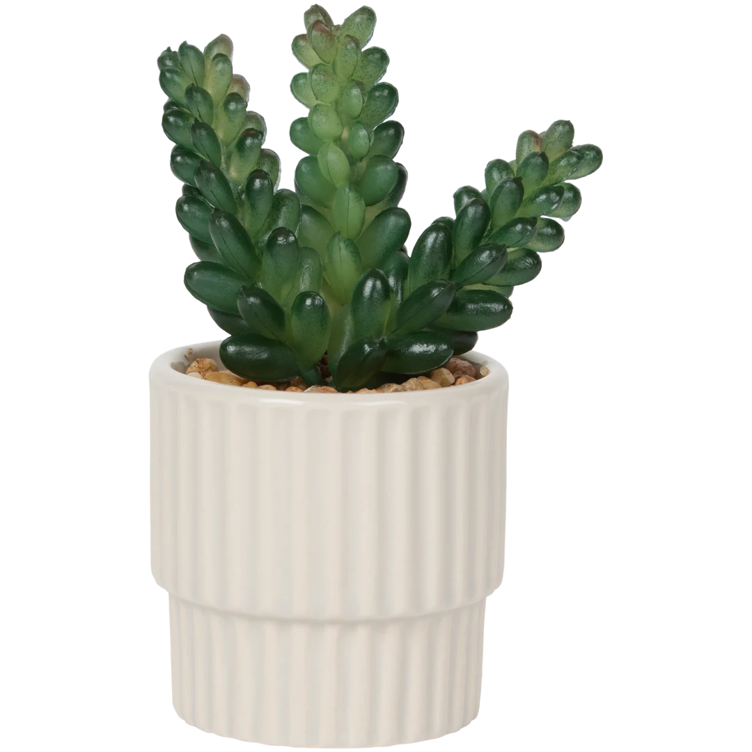 Kunstvetplantje in pot Diverse varianten