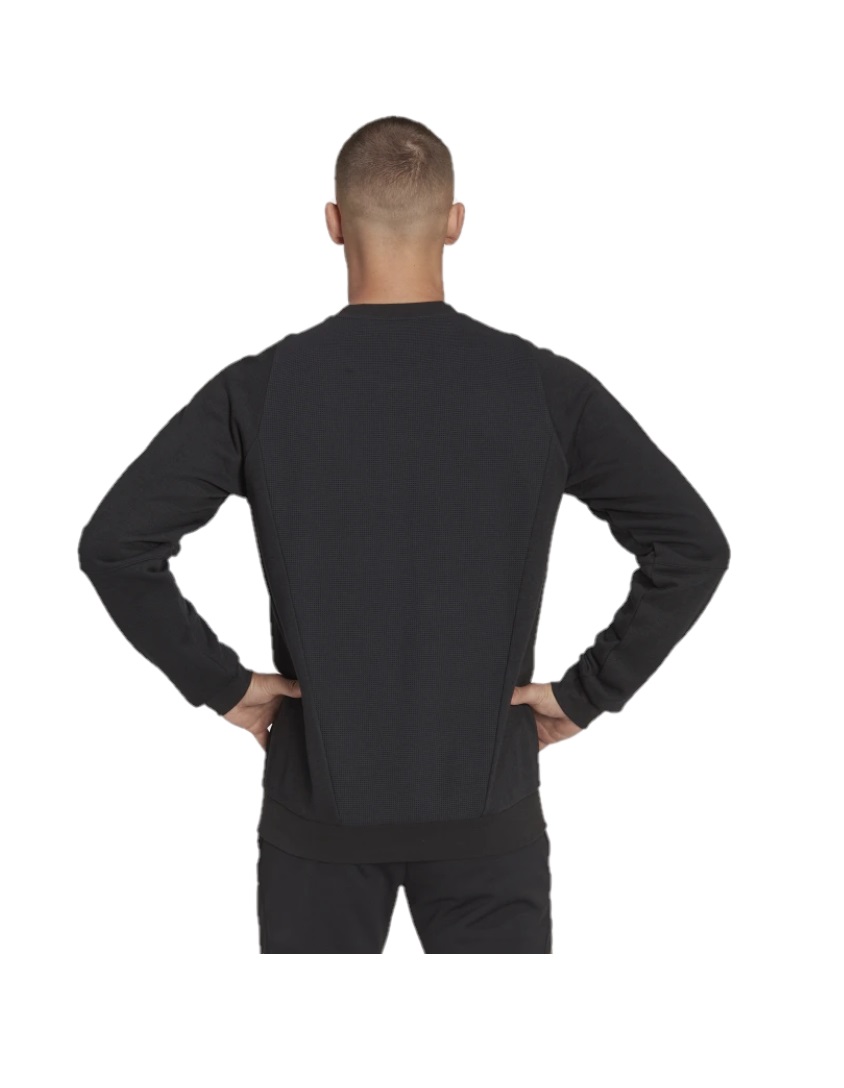 Duitsland Cotton Crewneck Senior 2022-2023
