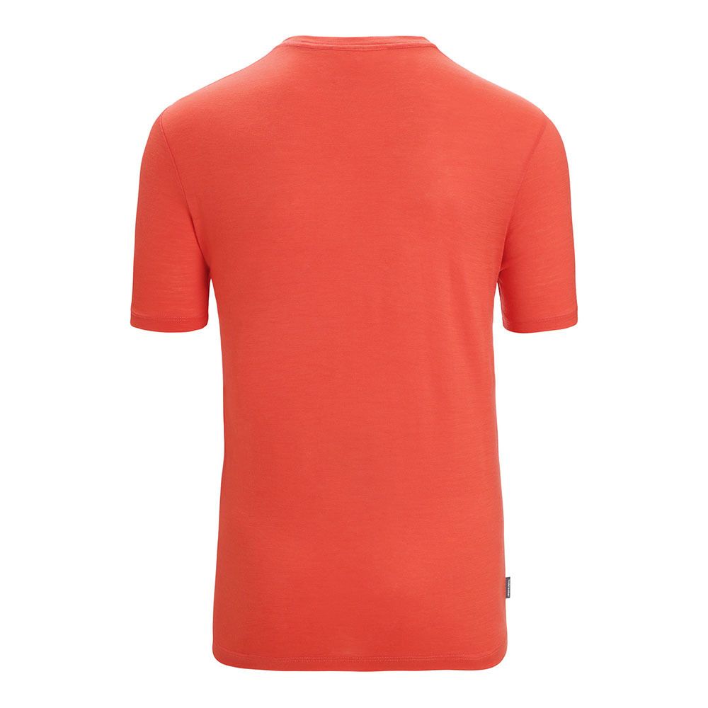Icebreaker TECH LITE II - Tee-shirt Homme vibrant earth