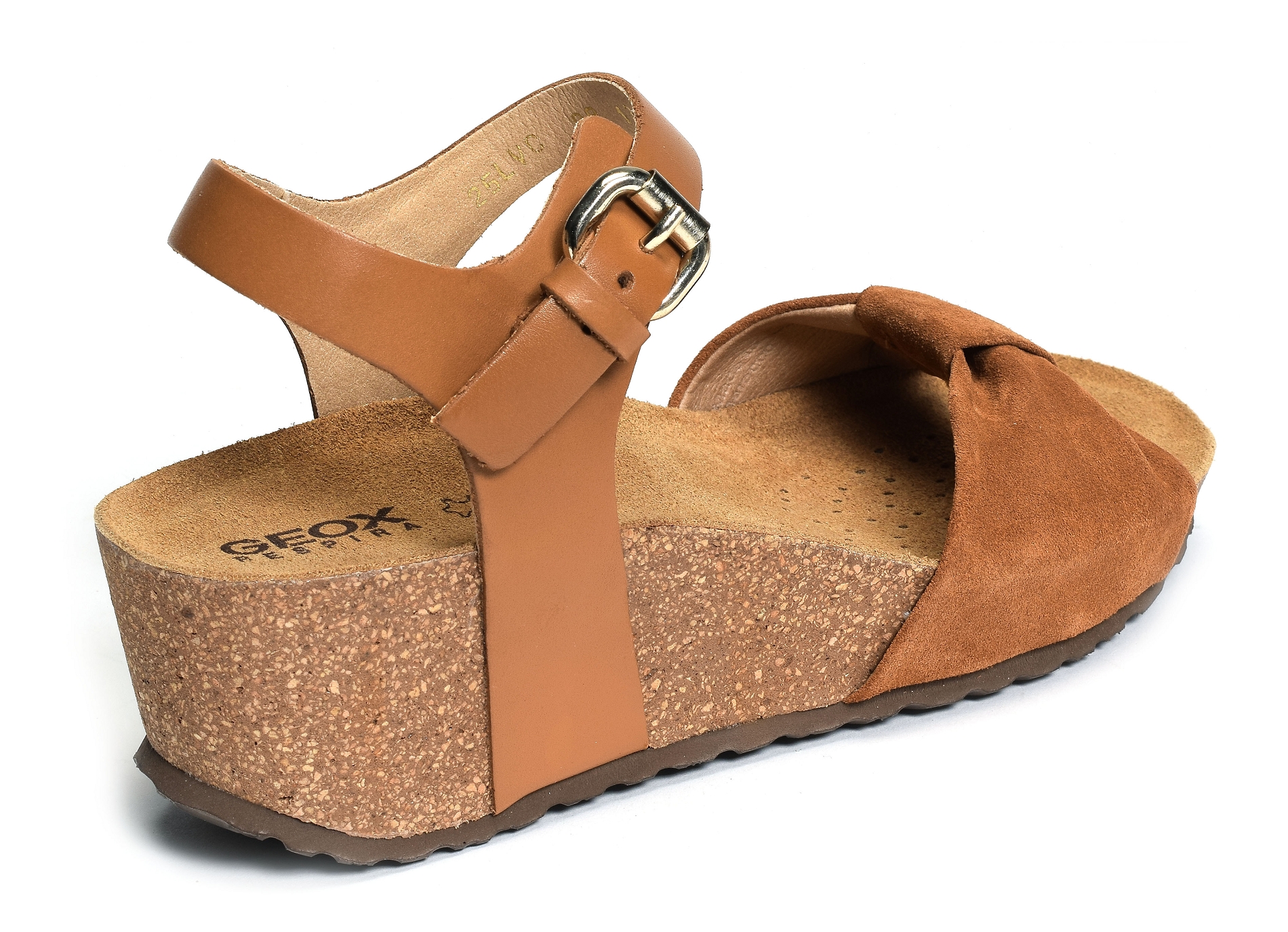 D diantha c camel