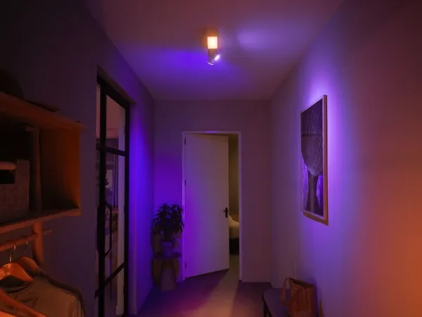 Philips Hue White And Color Ambiance Centris Loftlampe