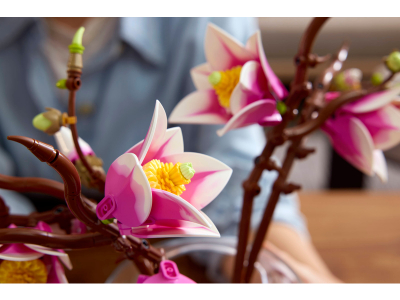 LEGO Magnoliatakken (11510)