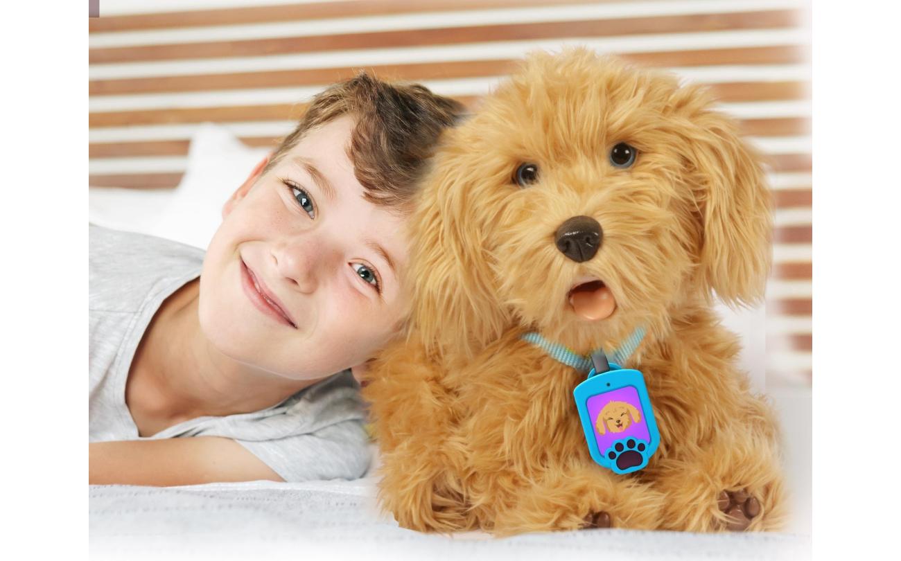 Moji mijn lieve labradoodle