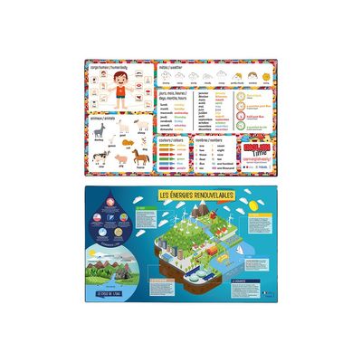 Viquel - Sous-main éducatif Anglais ou Energies renouvelables - 59,5 x 36,2 cm