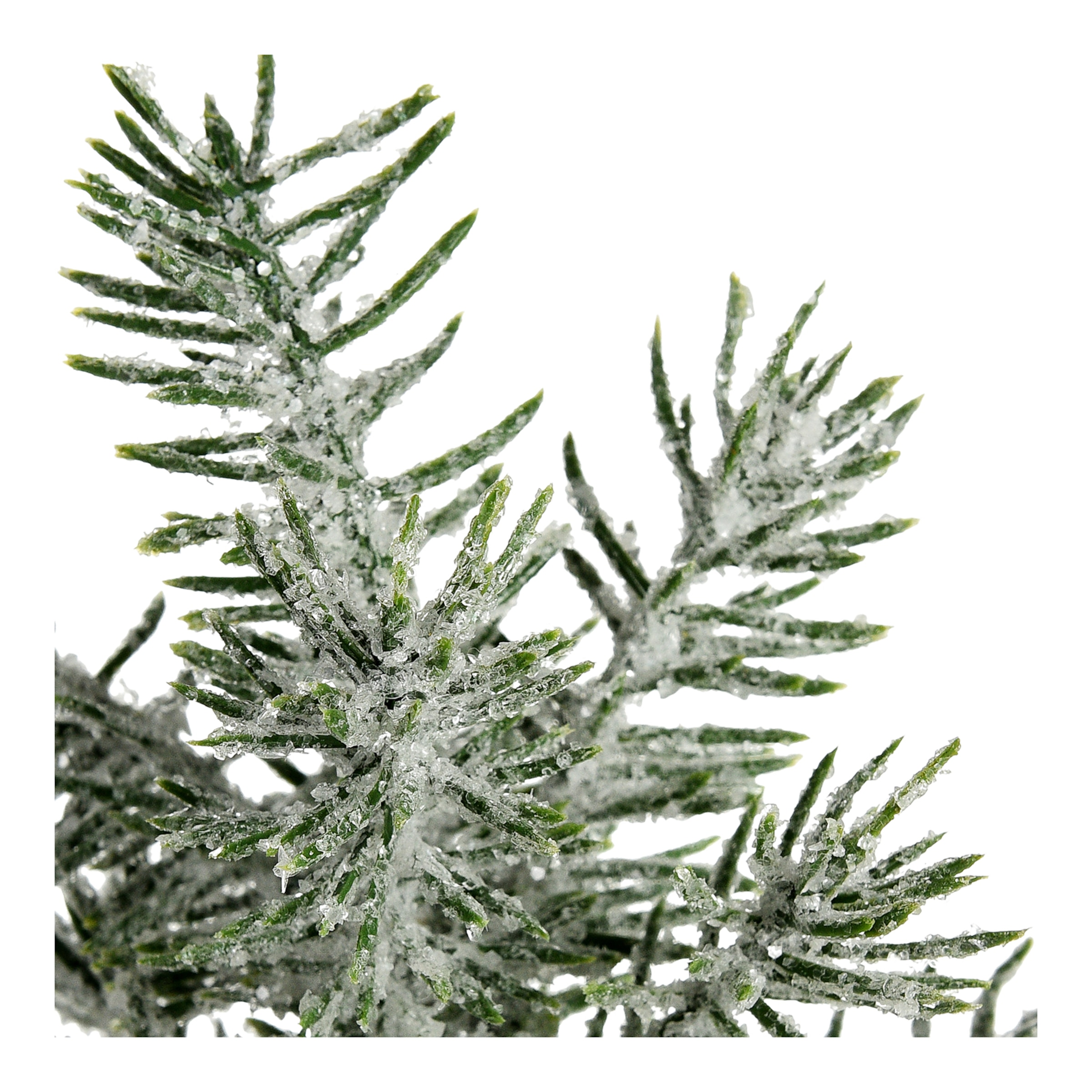 grün, H 24 cm
