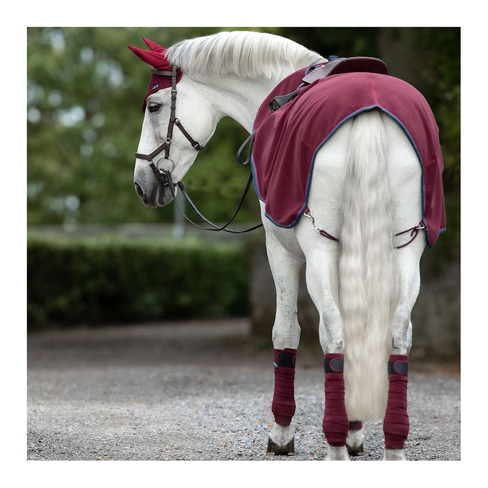 Horseware RAMBO COMP SHEET - Couvre-reins burg/burg/teal/nvy
