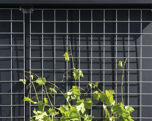 Hörmann EcoStar trellismaat 1 97 x 195 cm zilver