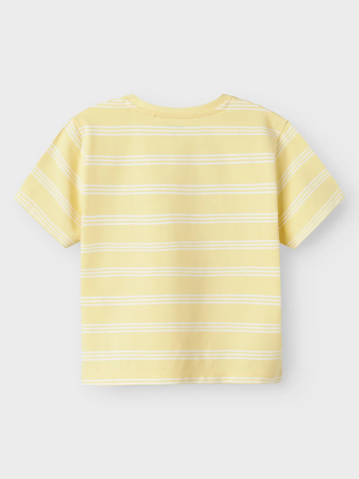 Audo Lionking Nreg Short Sleeve Top