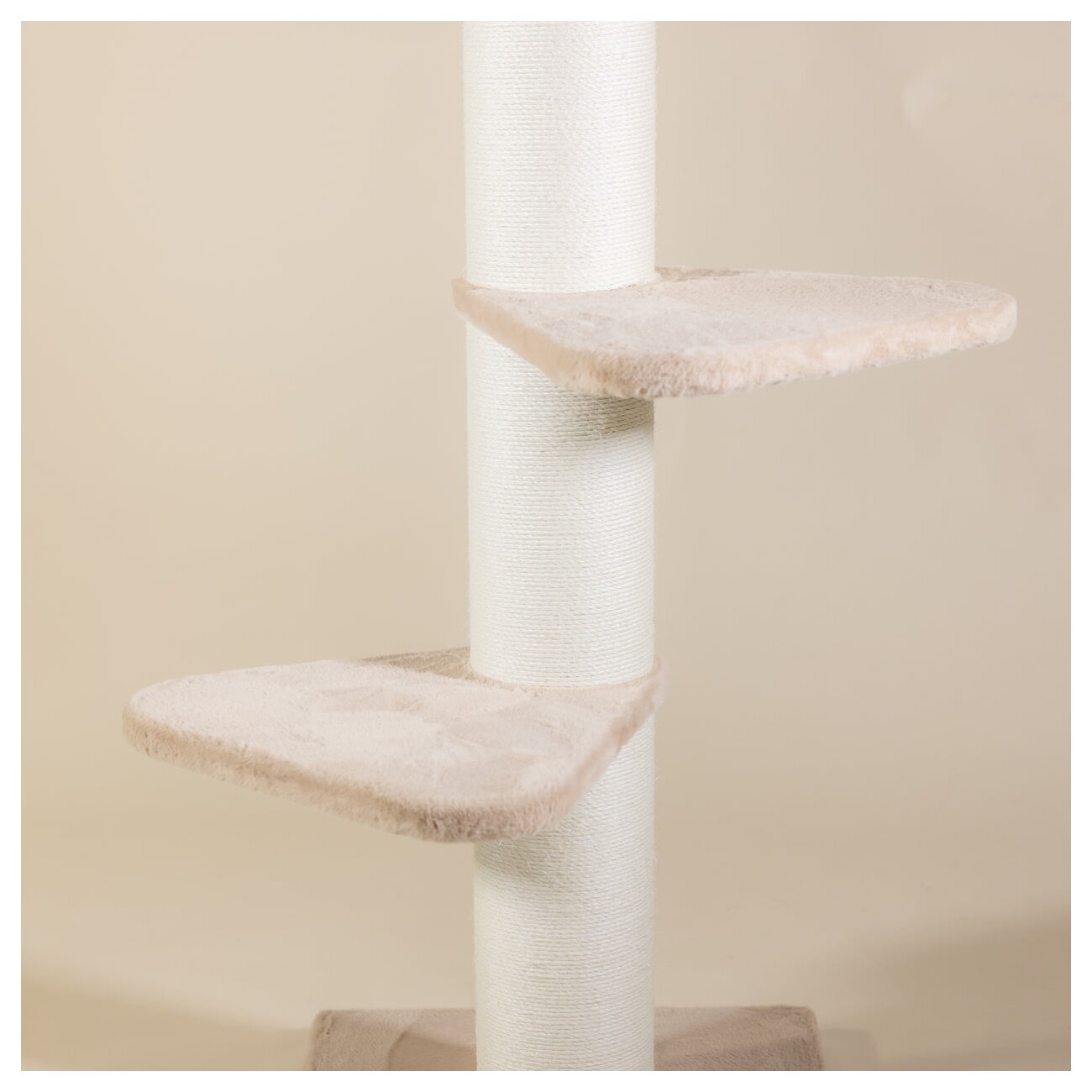 RHR Quality Kratzbaum Royalty B1