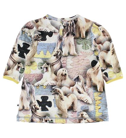 Molo Kleid - Caroline - Dogtastic