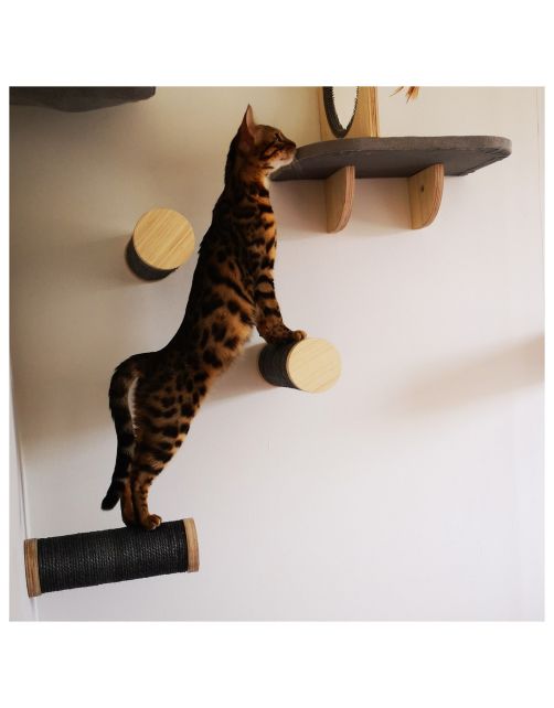 All For Paws Skywalk - Medium Step Post Playground - 3 Pack - Wandkrabpaal - 29x10x28 cm Grijs