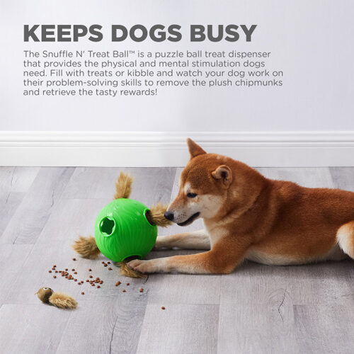 Nina Ottosson Dog Snuffle N' Treat Ball
