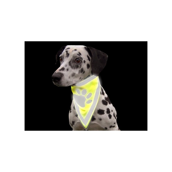 Bandana réfléchissant