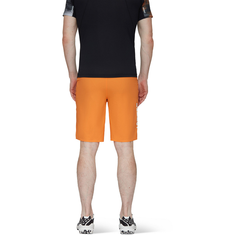 Mammut Herren Aenergy Light SO Shorts